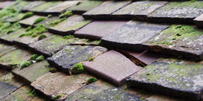 Cross Ash roof repair costs